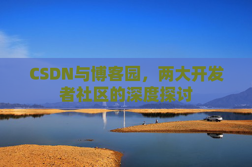 CSDN与博客园，两大开发者社区的深度探讨